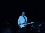 Pete live in Antwerp (Monique K?nning)