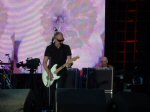 The Seeker: Pete live in Hamburg, 18-06-2007 (Photo by Concert Guide)