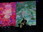 A Man In A Purple Dress: Pete live in Hamburg, 18-06-2007 (Photo by Concert Guide)