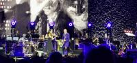 Baba O&lsquo;Riley: London (Photo: Bob Smoochie - Concert Guide)
