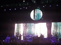 Reno, February 2, 2013 (Photo: Michael Nelson)